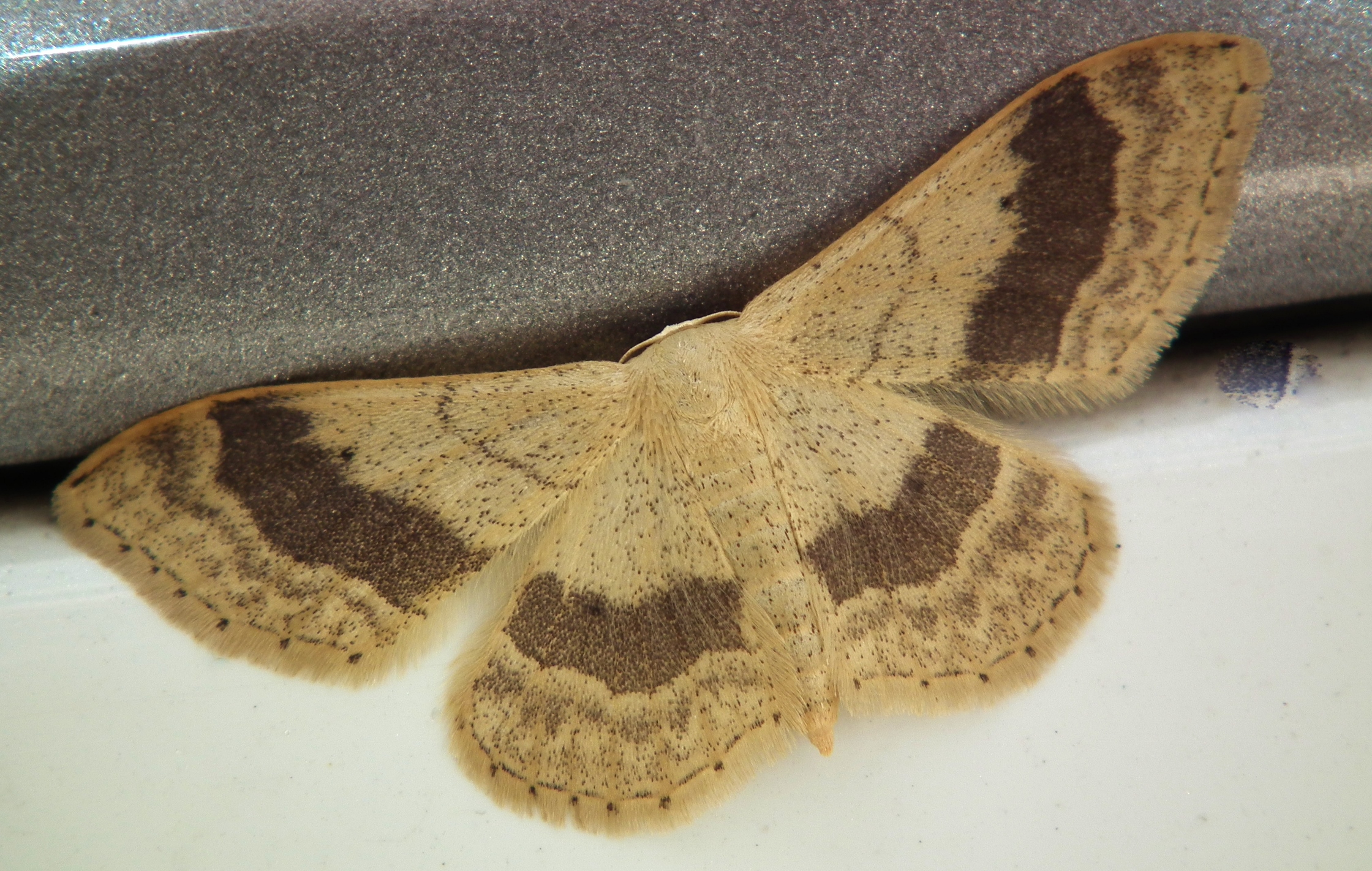 Spanner , maar welke ?